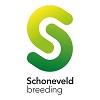 Schoneveld Breeding Netherlands Jobs Expertini